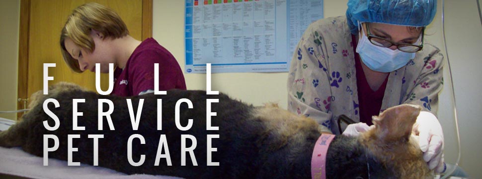 Full Service Pet Care
