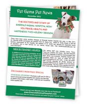 Vet Gems Pet News Holiday Newsletter