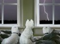 Lightning Dogs