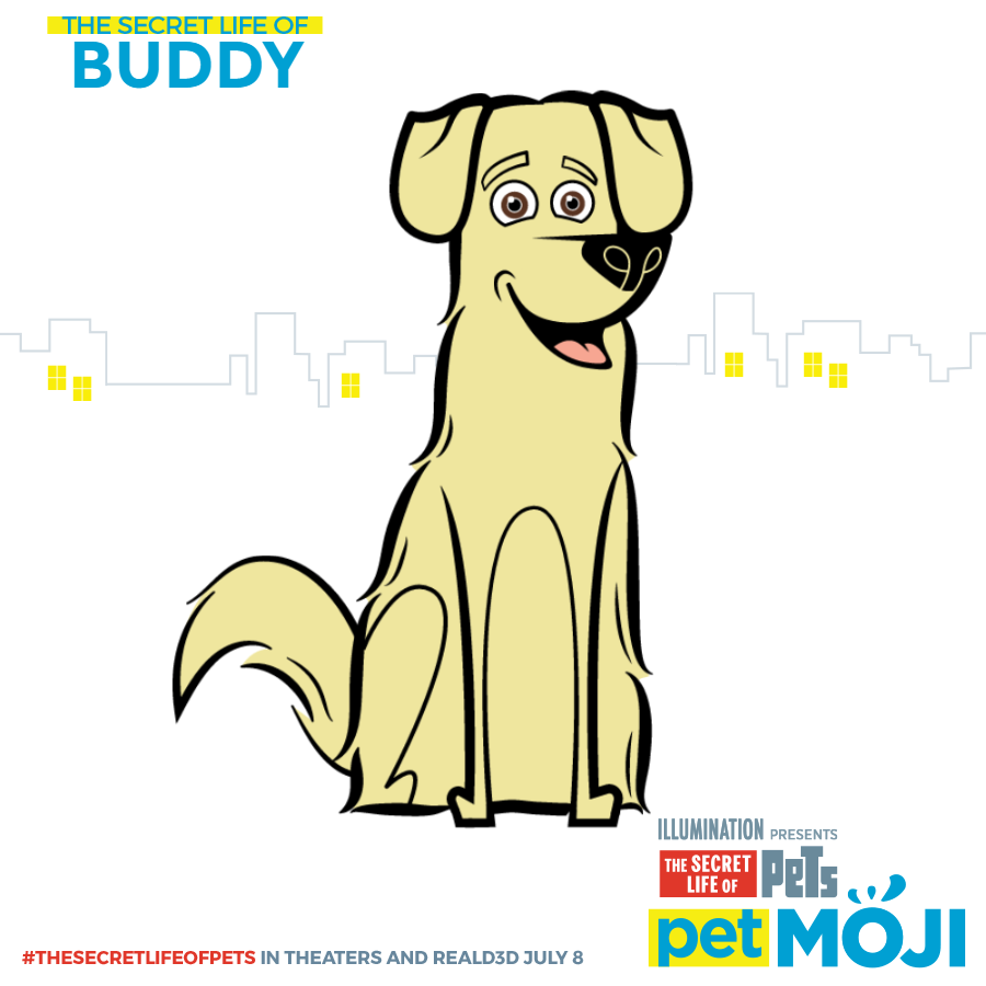 share-Buddy