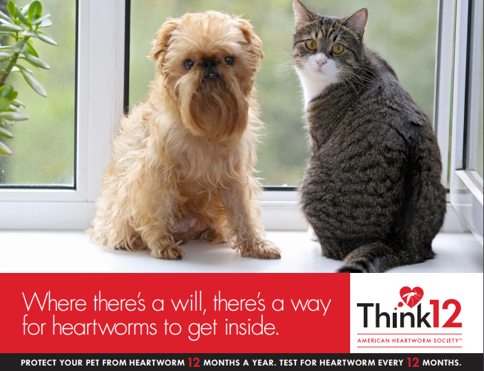 Photo provided by the American Heartworm Society