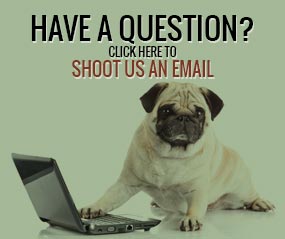 Click Here to Send an Email